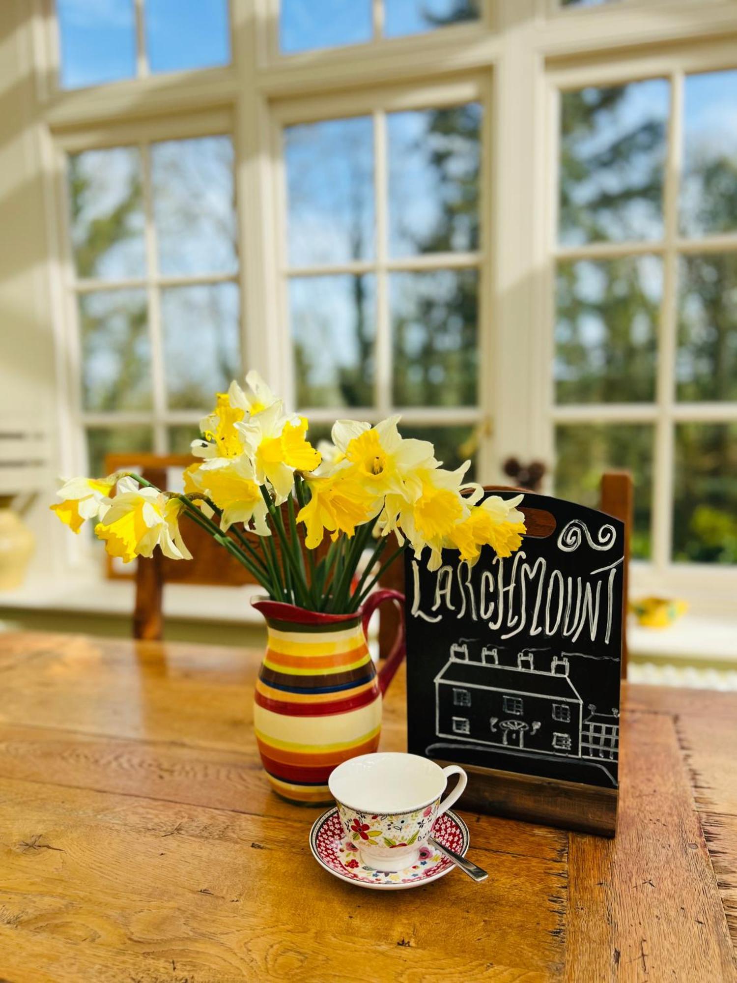 Larchmount House B&B Londonderry Zewnętrze zdjęcie